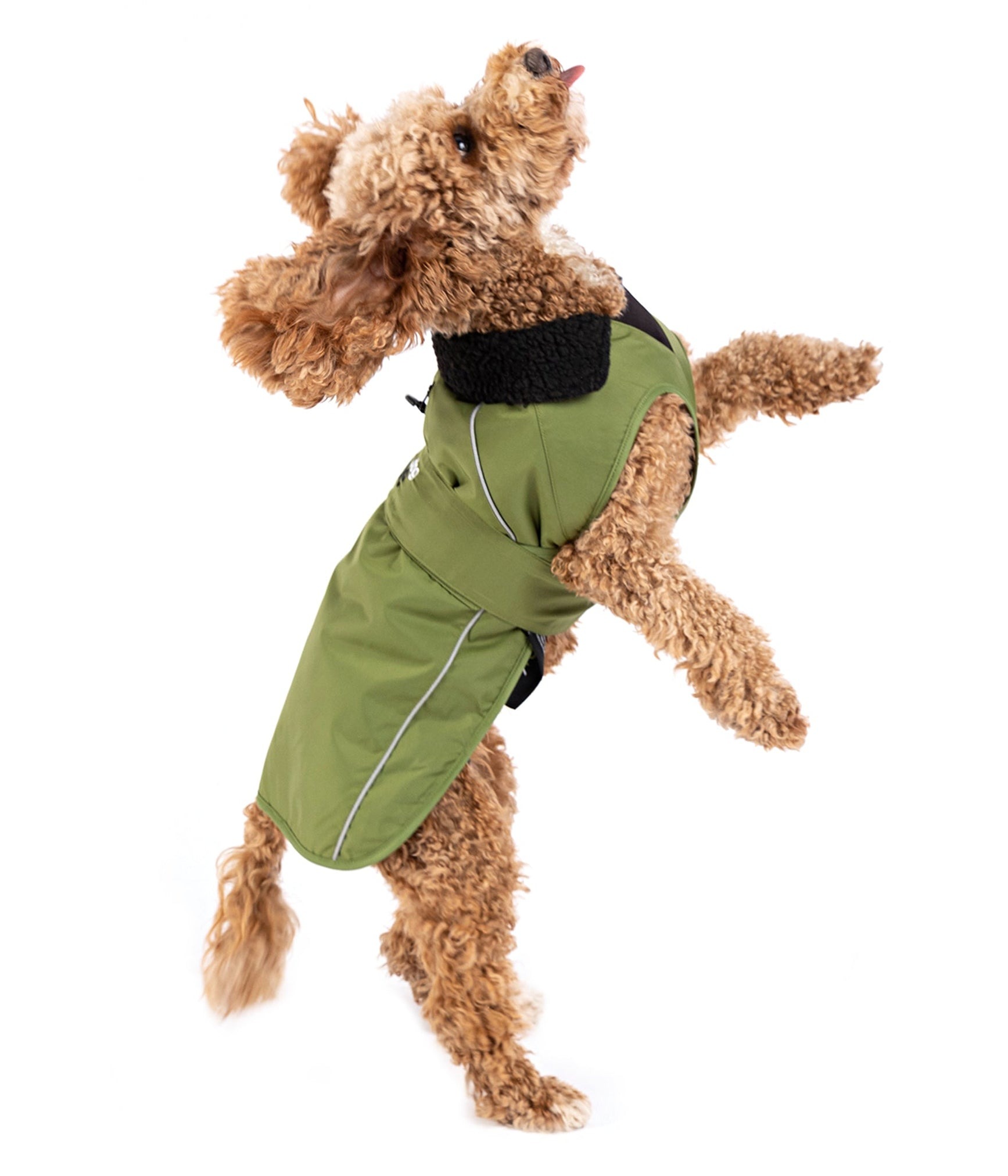 Dryrobe® Hondenjas