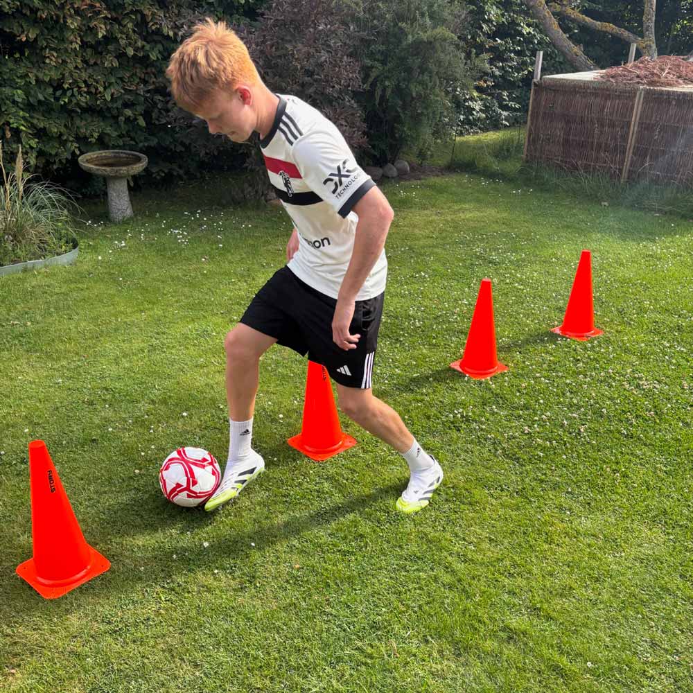 Story Apex Trainingskegels