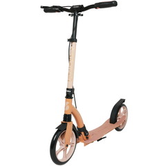 Story CityCruiser Transport Step