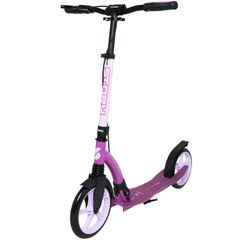 Story CityCruiser Transport Step