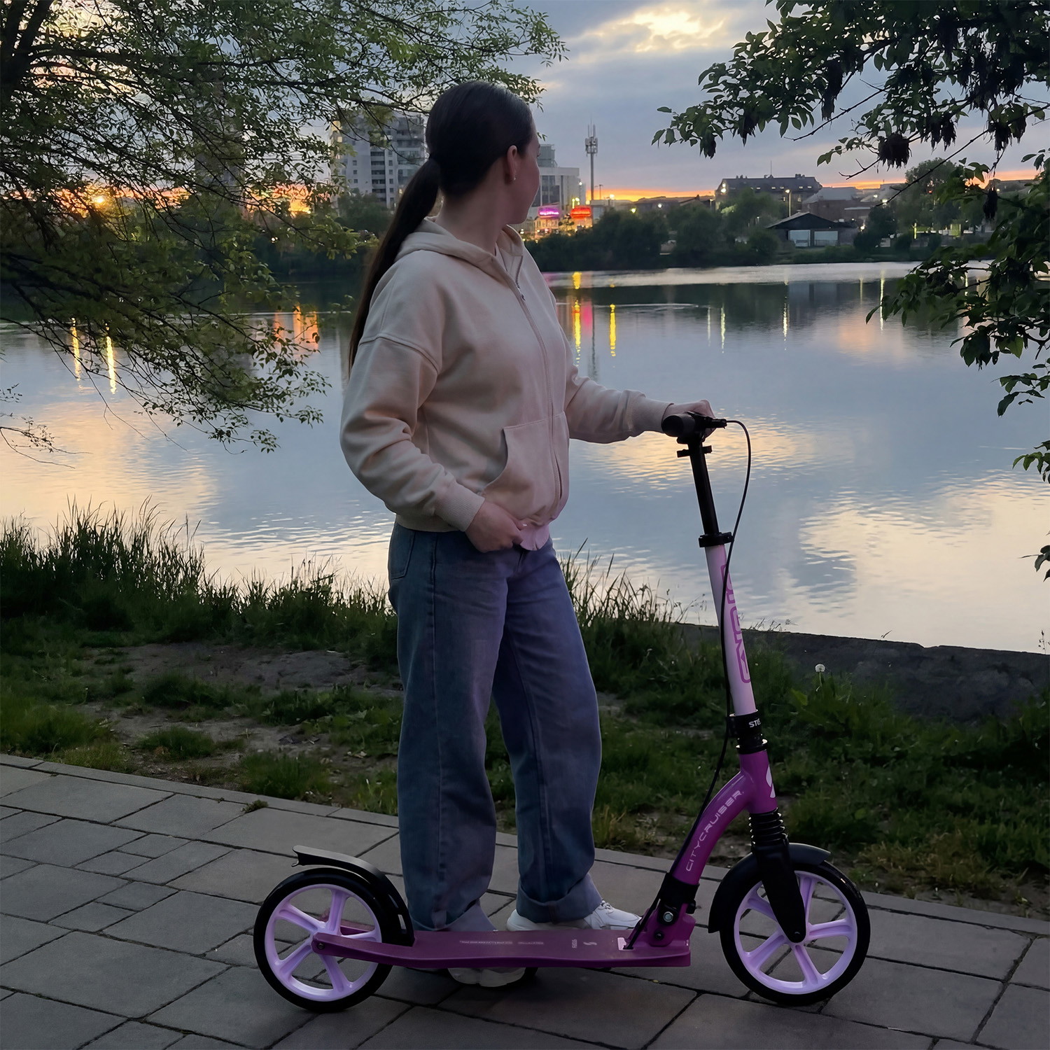 Story CityCruiser Transport Step