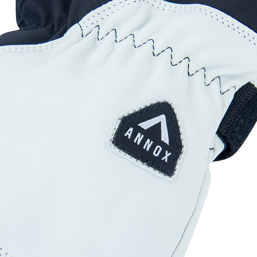 Annox Alpine Leren Skihandschoenen