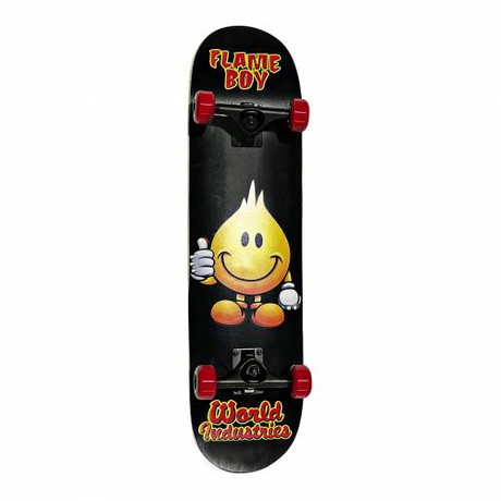 World Industries Compleet Skateboard